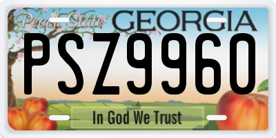 GA license plate PSZ9960