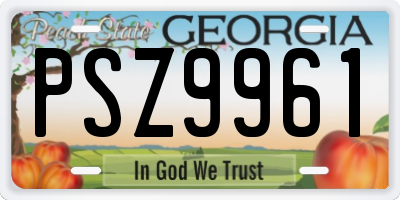 GA license plate PSZ9961
