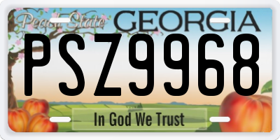 GA license plate PSZ9968
