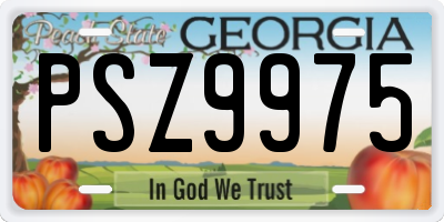 GA license plate PSZ9975