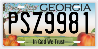 GA license plate PSZ9981