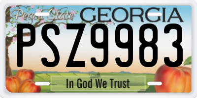 GA license plate PSZ9983
