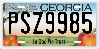 GA license plate PSZ9985