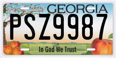 GA license plate PSZ9987