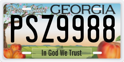 GA license plate PSZ9988