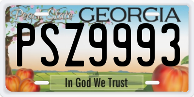 GA license plate PSZ9993