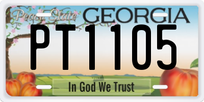 GA license plate PT1105