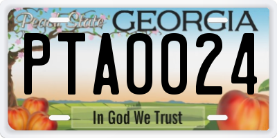GA license plate PTA0024