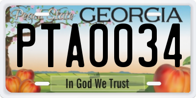 GA license plate PTA0034