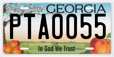 GA license plate PTA0055