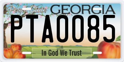 GA license plate PTA0085