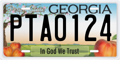 GA license plate PTA0124