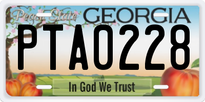 GA license plate PTA0228