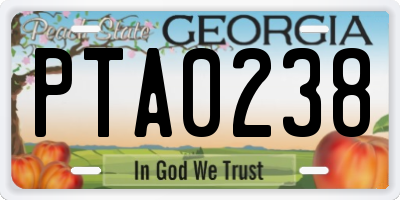 GA license plate PTA0238