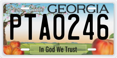 GA license plate PTA0246