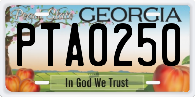 GA license plate PTA0250