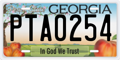 GA license plate PTA0254