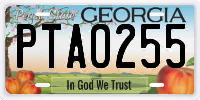 GA license plate PTA0255
