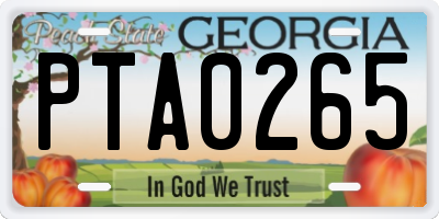 GA license plate PTA0265