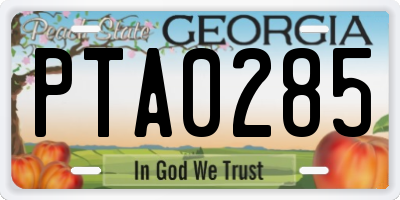 GA license plate PTA0285
