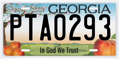 GA license plate PTA0293