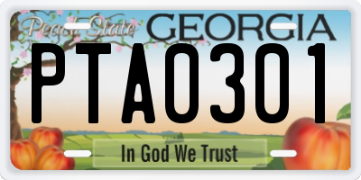 GA license plate PTA0301