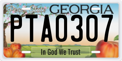 GA license plate PTA0307