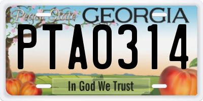GA license plate PTA0314