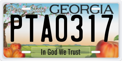 GA license plate PTA0317