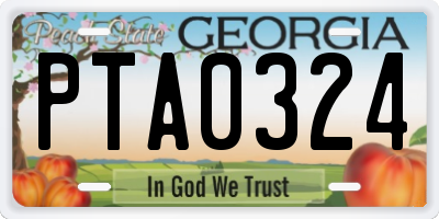 GA license plate PTA0324