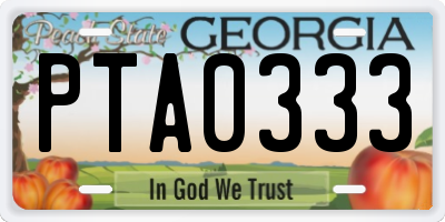 GA license plate PTA0333