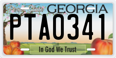 GA license plate PTA0341