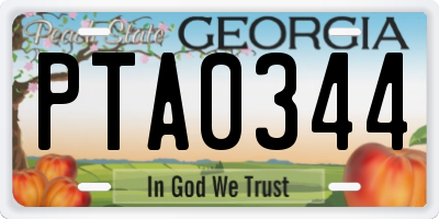 GA license plate PTA0344