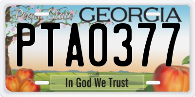 GA license plate PTA0377