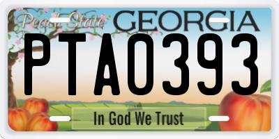 GA license plate PTA0393