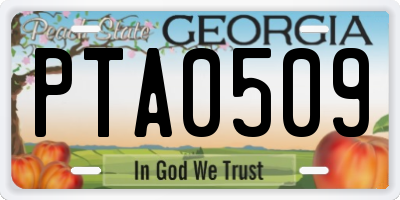 GA license plate PTA0509