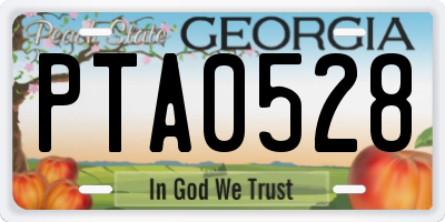 GA license plate PTA0528