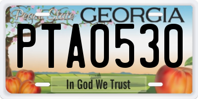 GA license plate PTA0530