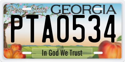 GA license plate PTA0534