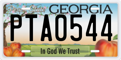GA license plate PTA0544