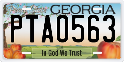 GA license plate PTA0563