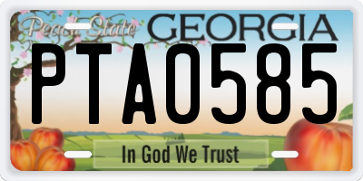 GA license plate PTA0585
