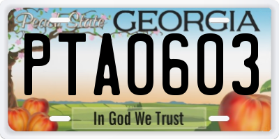 GA license plate PTA0603