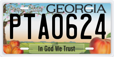 GA license plate PTA0624