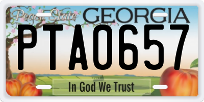 GA license plate PTA0657