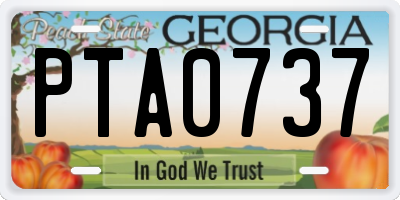 GA license plate PTA0737