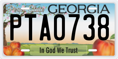 GA license plate PTA0738