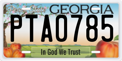 GA license plate PTA0785