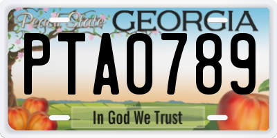 GA license plate PTA0789