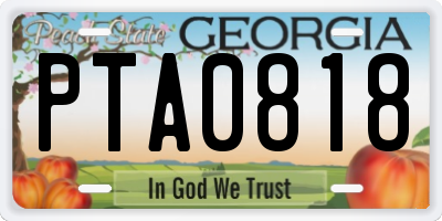 GA license plate PTA0818
